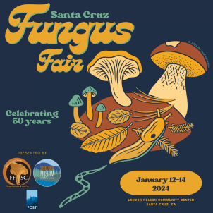 Fungus Fair 2024